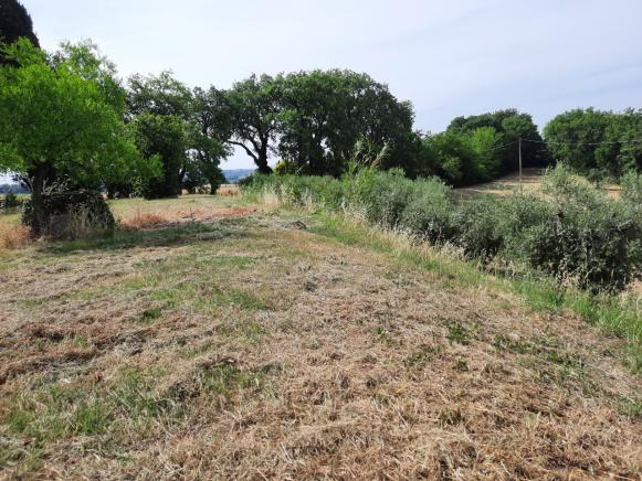 PESARO  ZONA NOVILARA  RUSTICOCASOLARECASCINA IN VENDITA