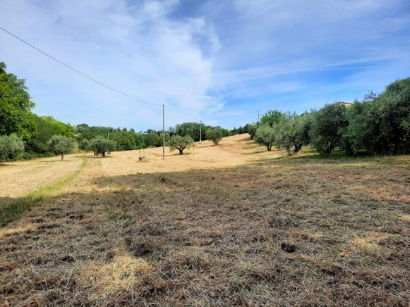 PESARO  ZONA NOVILARA  RUSTICOCASOLARECASCINA IN VENDITA