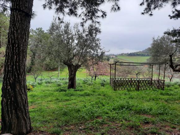 FANO  ZONA SANT'ANDREA IN VILLIS  APPARTAMENTO IN VENDITA