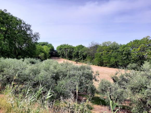 PESARO  ZONA NOVILARA  RUSTICOCASOLARECASCINA IN VENDITA