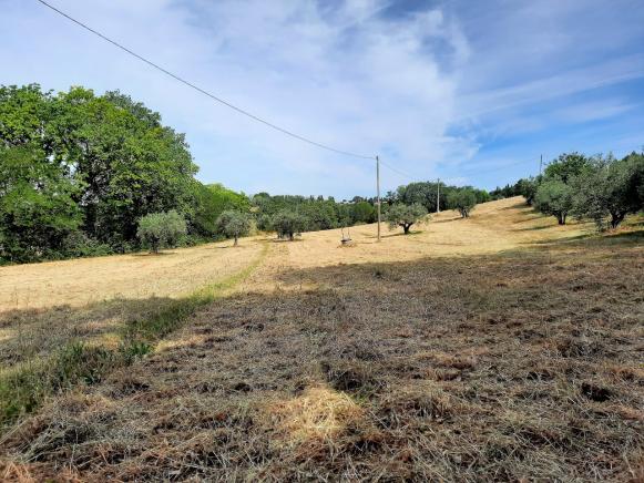 PESARO  ZONA NOVILARA  RUSTICOCASOLARECASCINA IN VENDITA