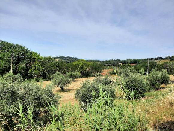 PESARO  ZONA NOVILARA  RUSTICOCASOLARECASCINA IN VENDITA