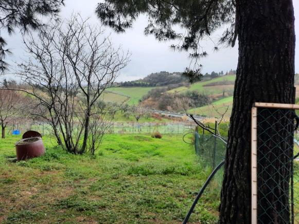 FANO  ZONA SANT'ANDREA IN VILLIS  APPARTAMENTO IN VENDITA